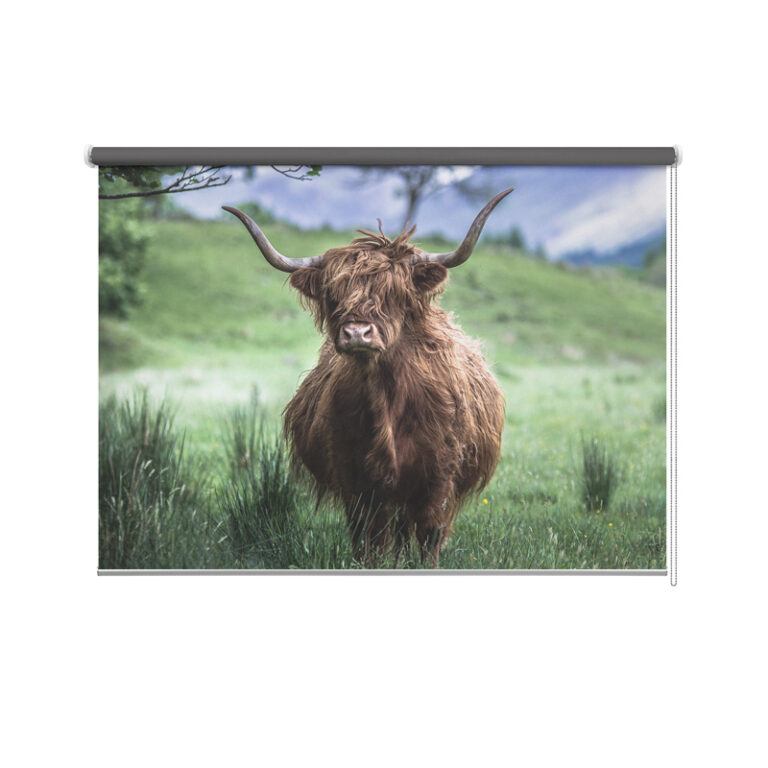 Tenda a rullo Highlander scozzese