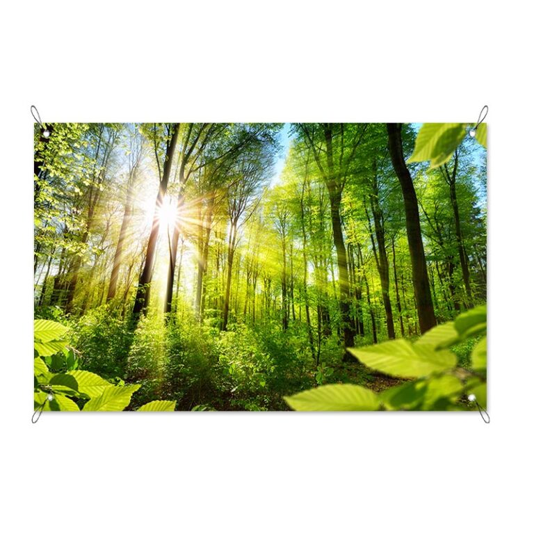 Poster da giardino Foresta soleggiata