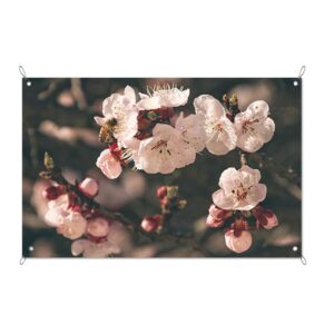 Poster da giardino Fiori di ciliegio