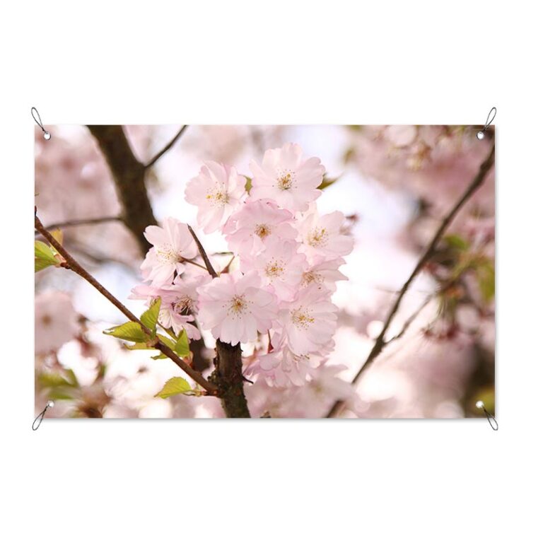Poster da giardino Fiore rosa