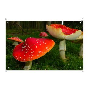 Poster da giardino Funghi rossi