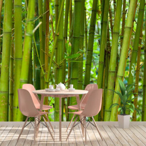Carta da parati Bambù verde