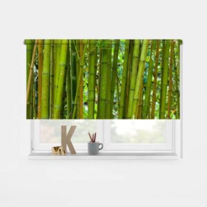Tenda a rullo Bambù verde
