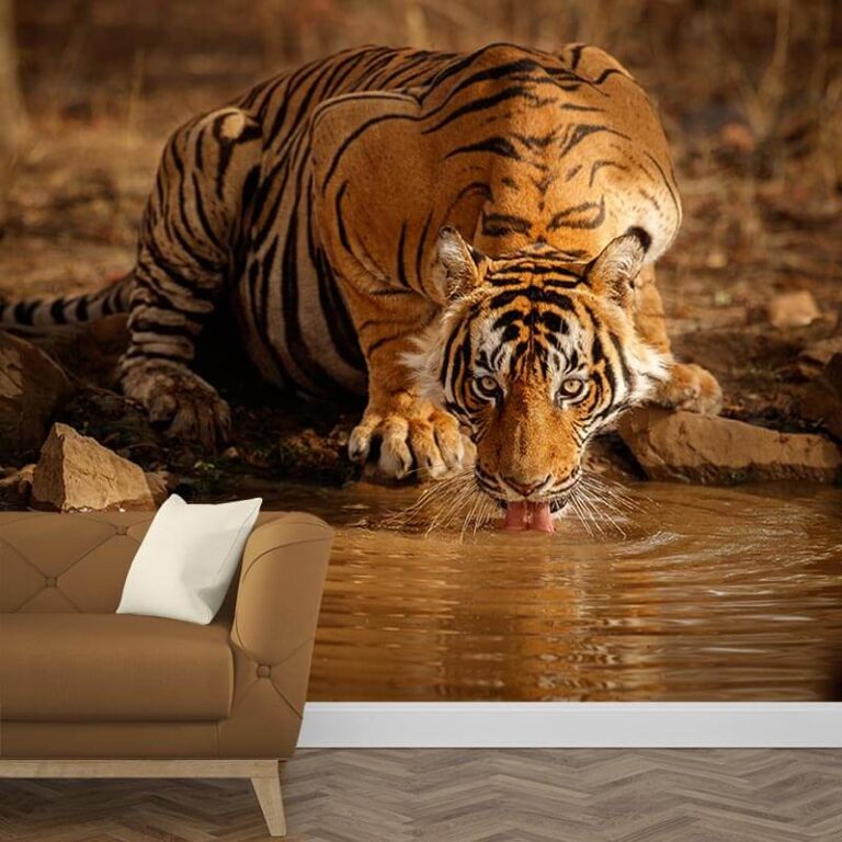 Carta da parati Tigre che beve