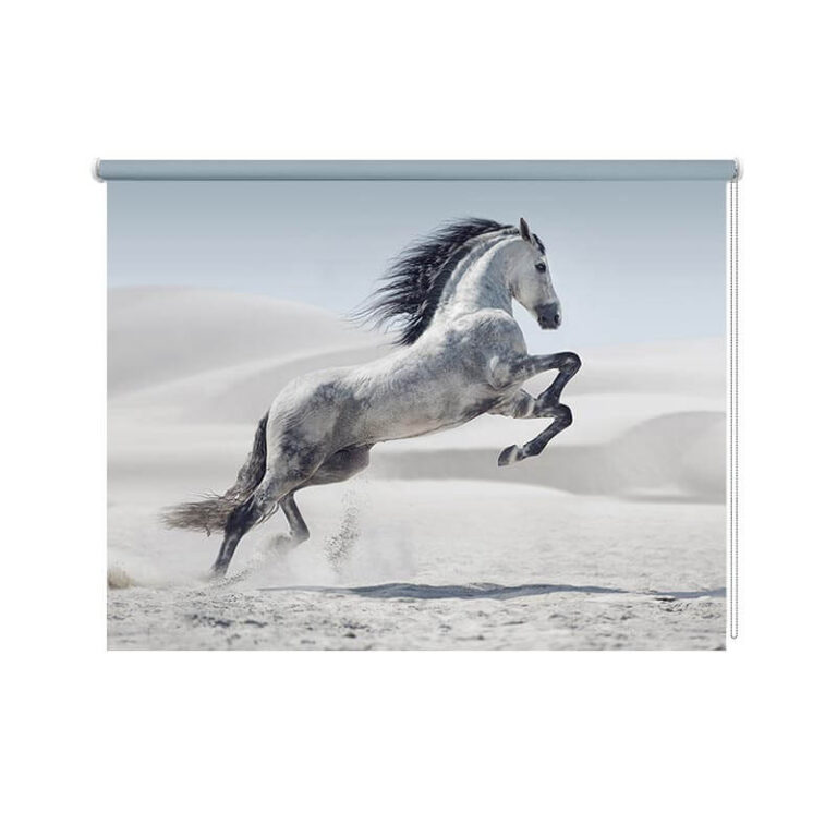 Tenda a rullo Cavallo grigio