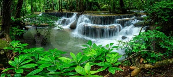 Carta fibra di vetro Cascata nella giungla verde