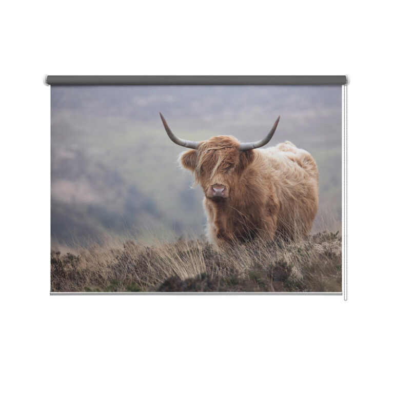 Tenda a rullo Highlander scozia