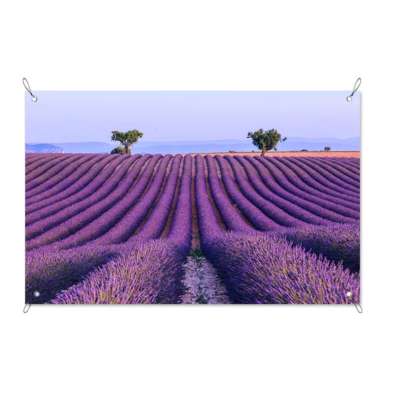 Striscione Campo di lavanda