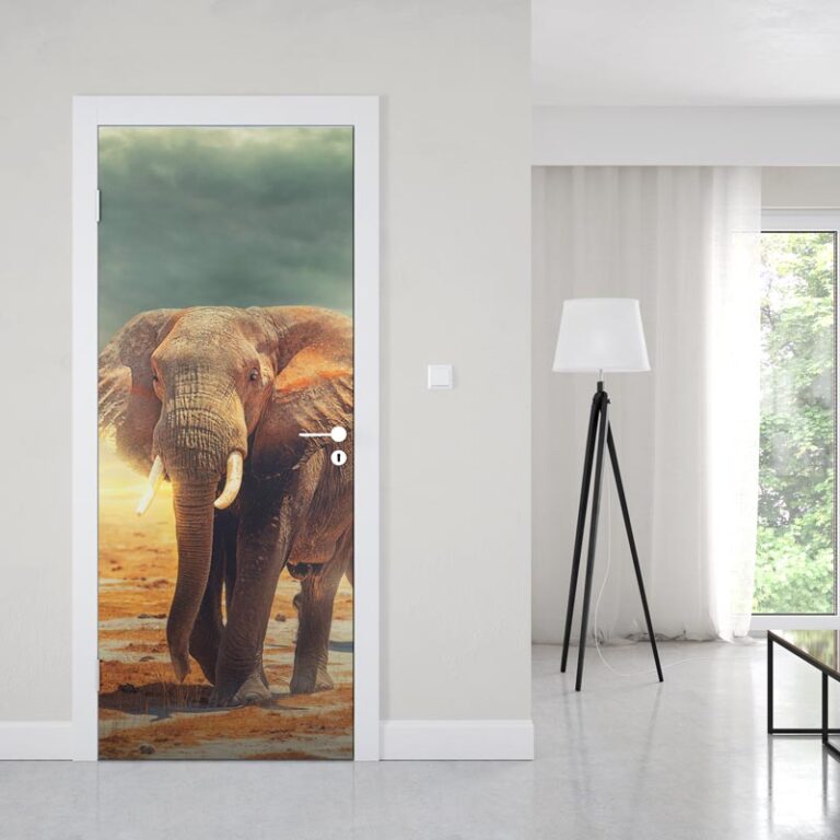 adesivo per porta a un passo dall'elefante