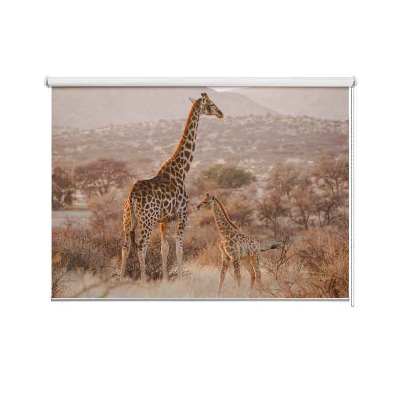tenda a rullo giraffa nella savana