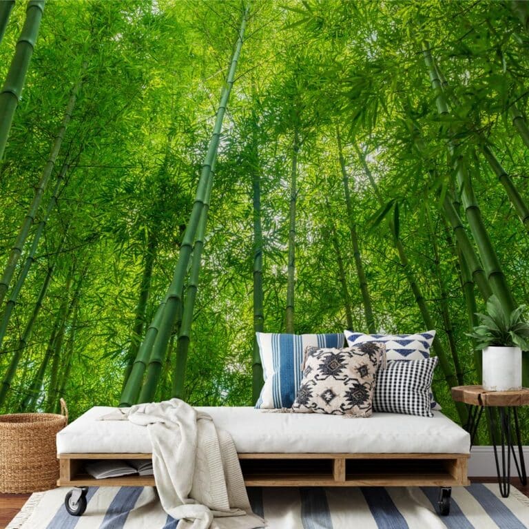 Carta da parati Alberi di bambù