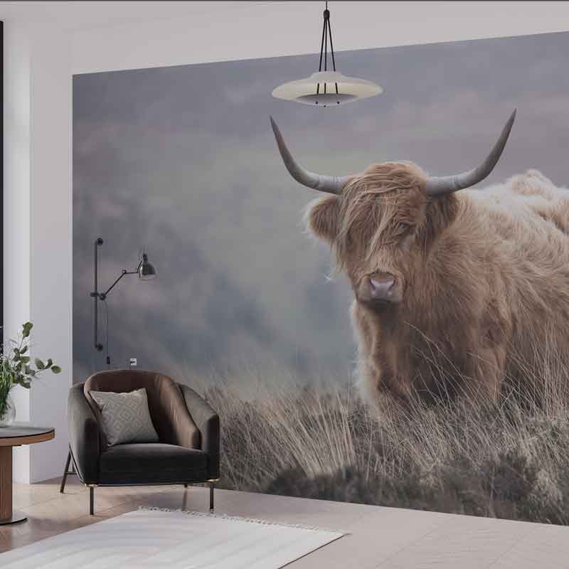 Carta da parati Highlander scozia