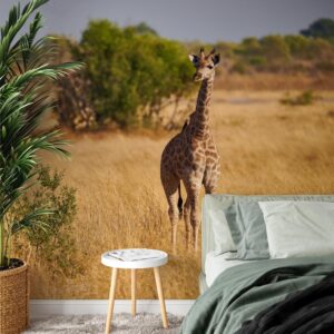 carta da parati cucciolo di giraffa