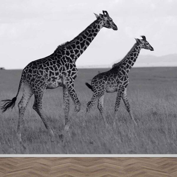 Carta da parati Duo giraffa