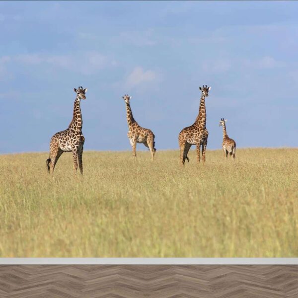 carta da parati giraffe nella savana