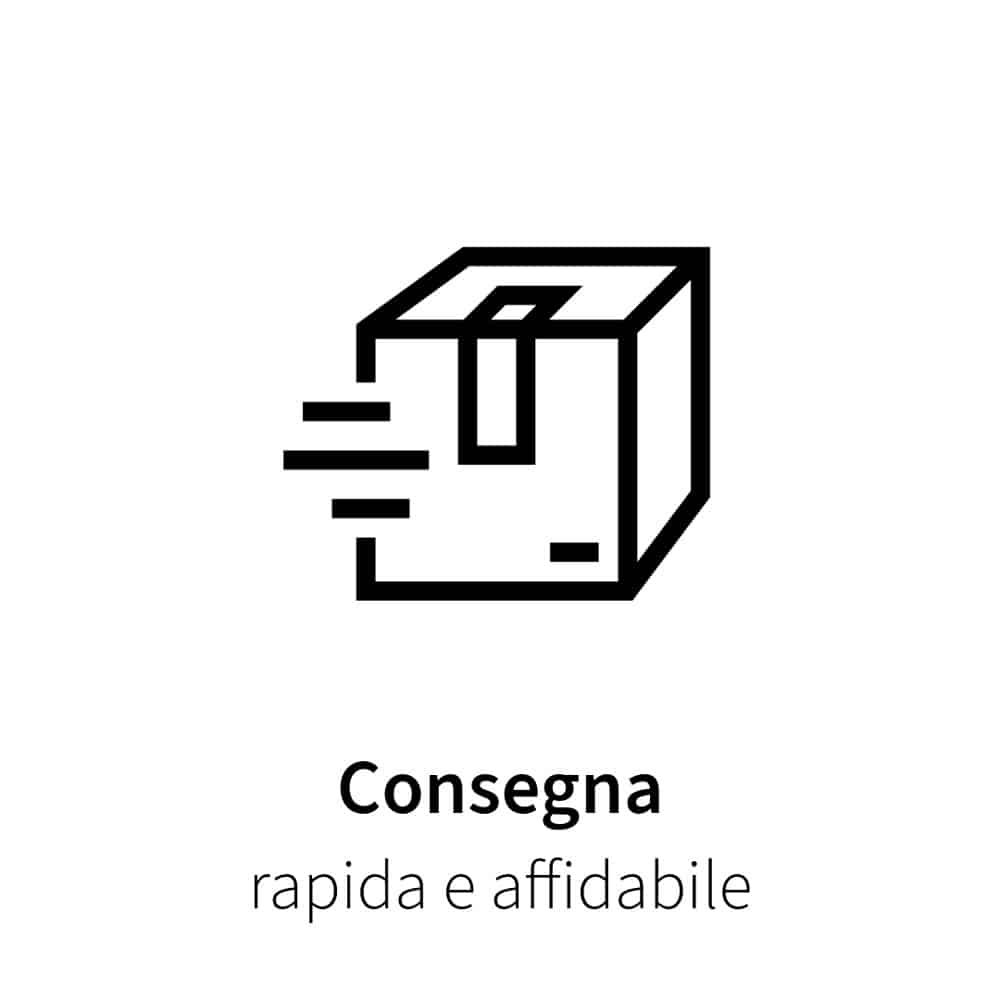icona consegna