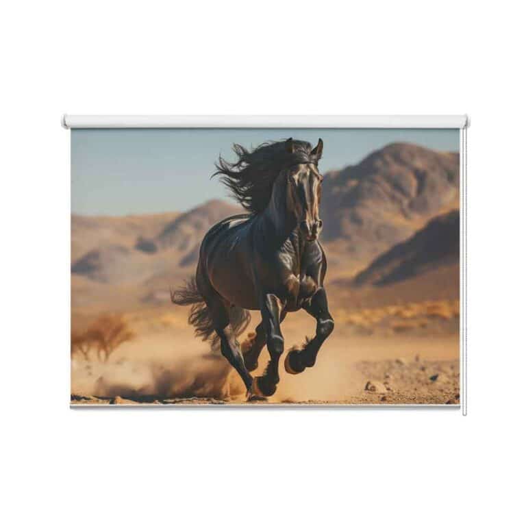 Tenda a rullo Cavallo nero