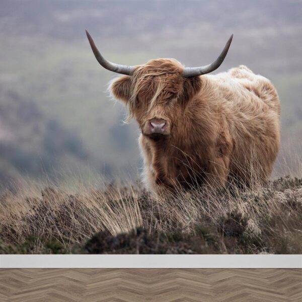 Carta da parati Highlander scozia