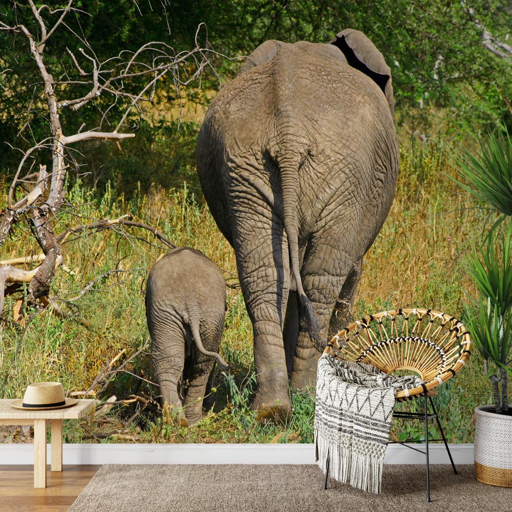 Carta da parati Elefante con elefantino