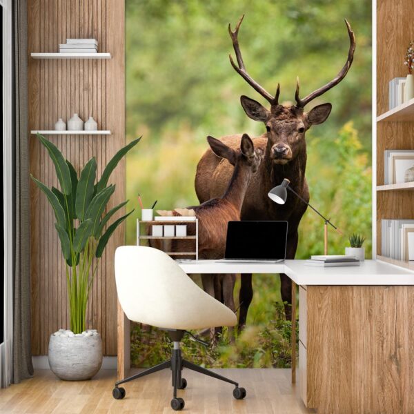 Carta da parati Daini nel bosco