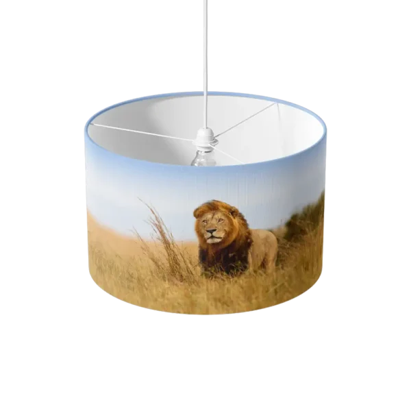 Paralume Leone in Africa